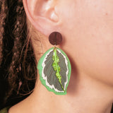 Calathea Medallion Earrings - Green - DORUZOVA